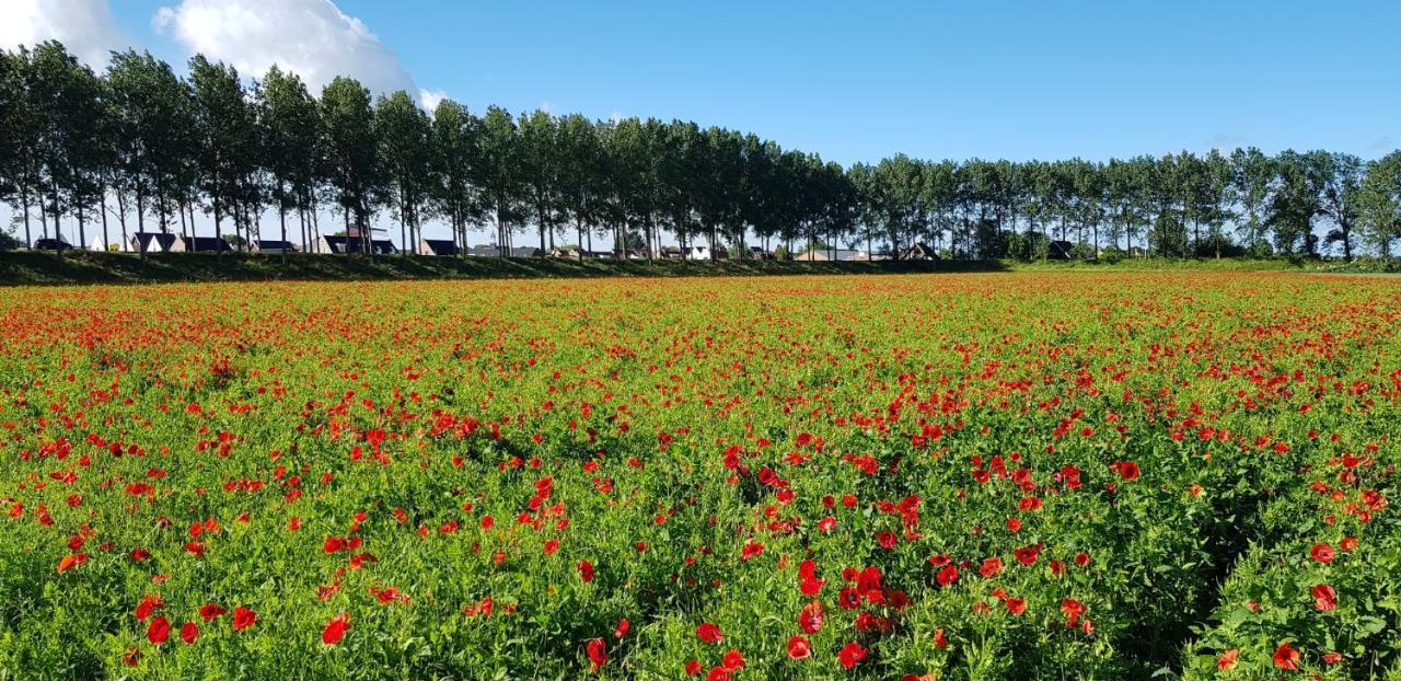 Villa Emilia - Gemuetliches Kinderfreundliches Blockhaus Mit Umzaeuntem Garten Sint Annaland Esterno foto