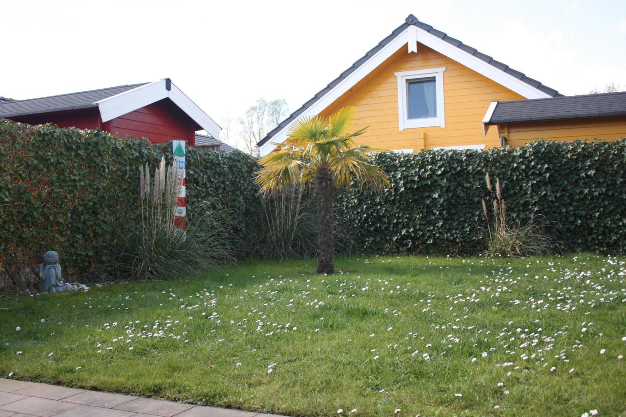 Villa Emilia - Gemuetliches Kinderfreundliches Blockhaus Mit Umzaeuntem Garten Sint Annaland Esterno foto